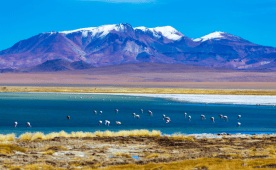 Santiago do Chile com Deserto do Atacama